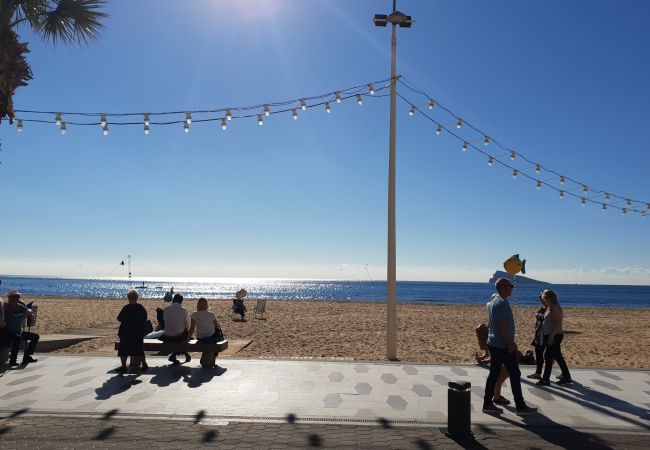 Apartamento em Benidorm - CACHIRULO (1 QUARTO) Apartamento em Benidorm - CACHIRULO (1 QUARTO)