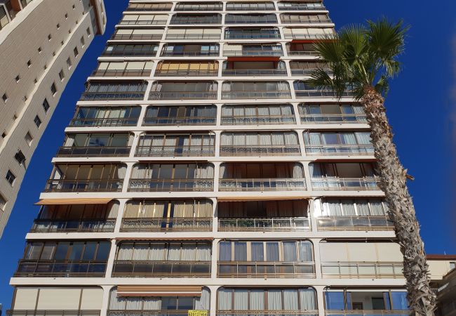 Apartamento em Benidorm - CACHIRULO (1 QUARTO) Apartamento em Benidorm - CACHIRULO (1 QUARTO)