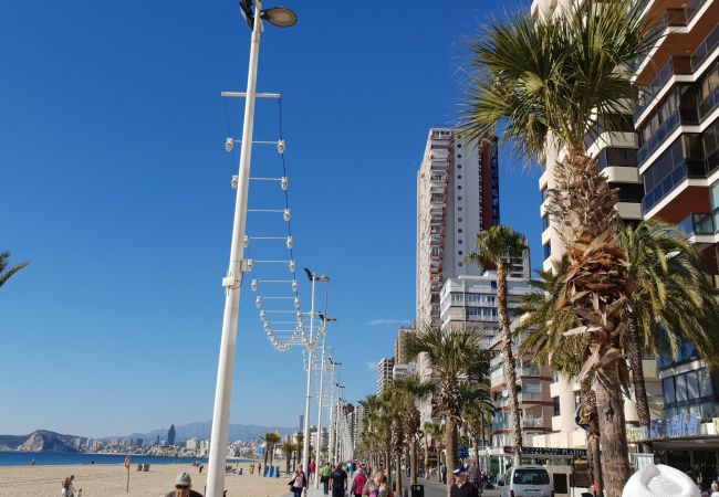 Apartamento em Benidorm - CACHIRULO (1 QUARTO) Apartamento em Benidorm - CACHIRULO (1 QUARTO)