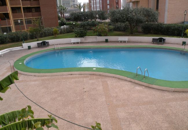 Apartamento em Benidorm - KAROLA (1 QUARTO) BENIDORM Apartamento em Benidorm - KAROLA (1 QUARTO) BENIDORM