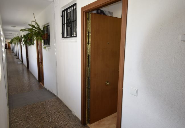 Apartamento em Benidorm - COMERCIAL LEPANTO (1 QUARTO) Apartamento em Benidorm - COMERCIAL LEPANTO (1 QUARTO)