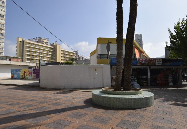 Apartamento em Benidorm - COMERCIAL LEPANTO (1 QUARTO) Apartamento em Benidorm - COMERCIAL LEPANTO (1 QUARTO)