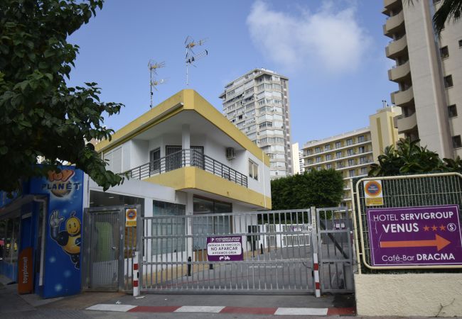 Apartamento em Benidorm - COMERCIAL LEPANTO (1 QUARTO) Apartamento em Benidorm - COMERCIAL LEPANTO (1 QUARTO)