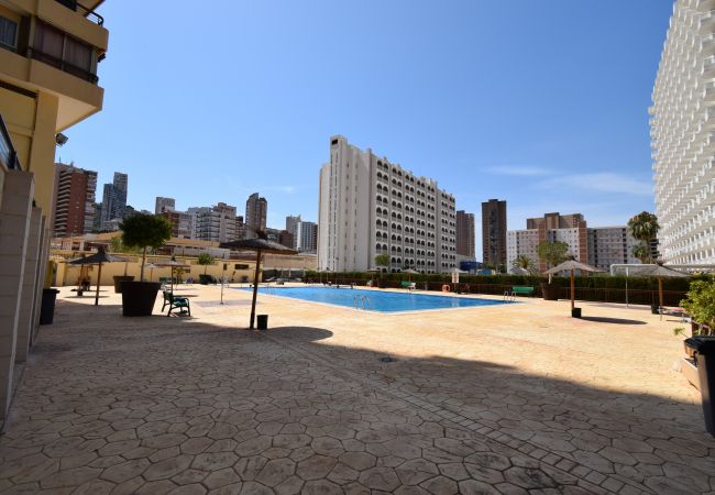 Estúdio em Benidorm - ACUARIUM 3 (STUDIO) Estúdio em Benidorm - ACUARIUM 3 (STUDIO)