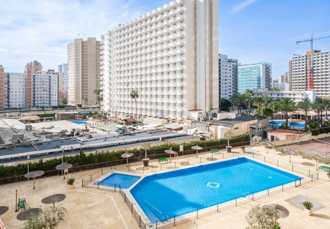 Estúdio em Benidorm - ACUARIUM 3 (STUDIO) Estúdio em Benidorm - ACUARIUM 3 (STUDIO)