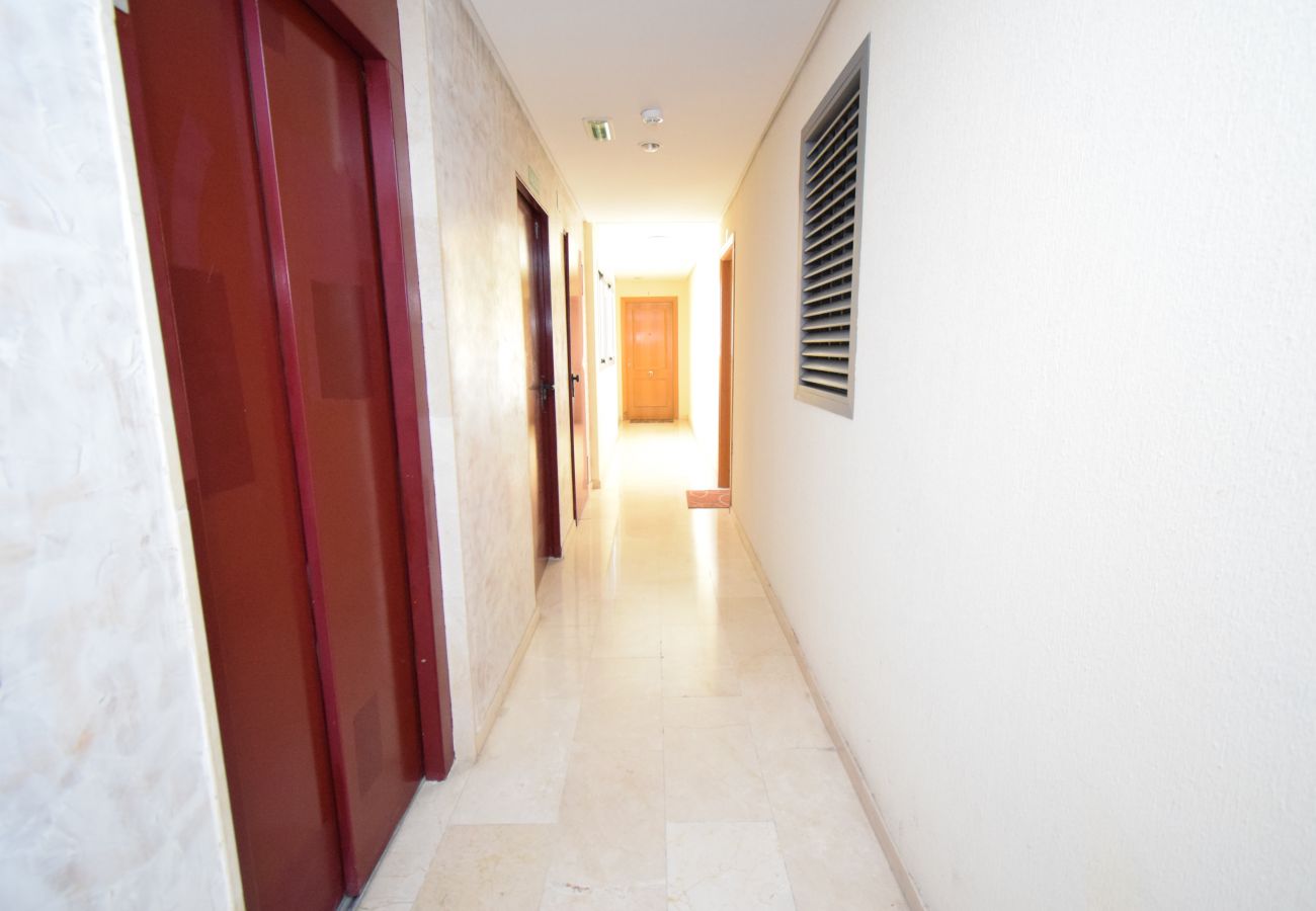 Apartamento em Benidorm - GEMELOS 20 (1 QUARTO)