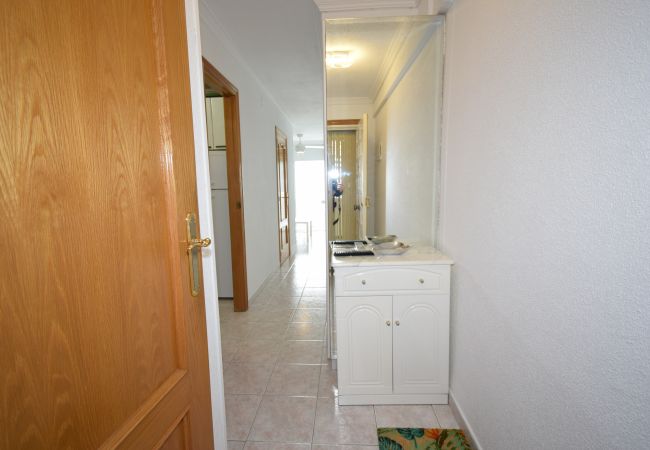 Estúdio em Benidorm - LOS CABALLOS (ESTÚDIO) COM TERRAÇO Estúdio em Benidorm - LOS CABALLOS (ESTÚDIO) COM TERRAÇO