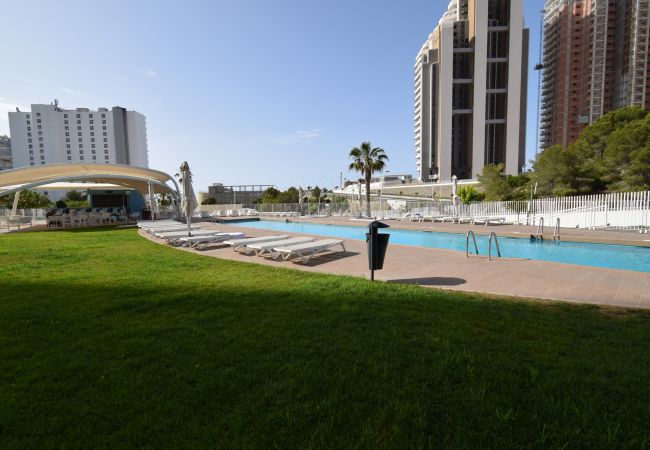 Apartamento em Benidorm - SUNSET WAVES (2 QUARTOS) Apartamento em Benidorm - SUNSET WAVES (2 QUARTOS)