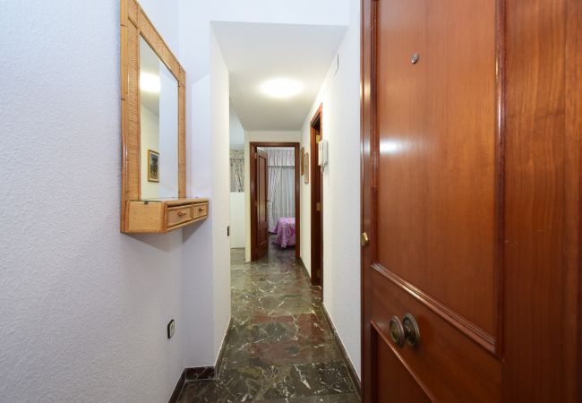 Apartamento em Benidorm - BENIBEACH (1  QUARTO) Apartamento em Benidorm - BENIBEACH (1  QUARTO)