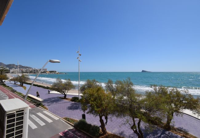 Apartamento em Benidorm - BENIBEACH (1  QUARTO) Apartamento em Benidorm - BENIBEACH (1  QUARTO)