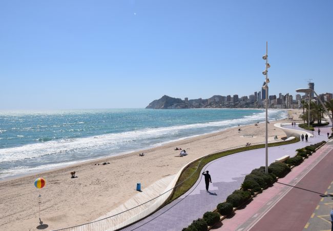Apartamento em Benidorm - BENIBEACH (1  QUARTO) Apartamento em Benidorm - BENIBEACH (1  QUARTO)
