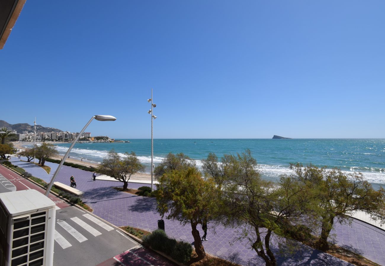 Apartamento em Benidorm - BENIBEACH (1  QUARTO)