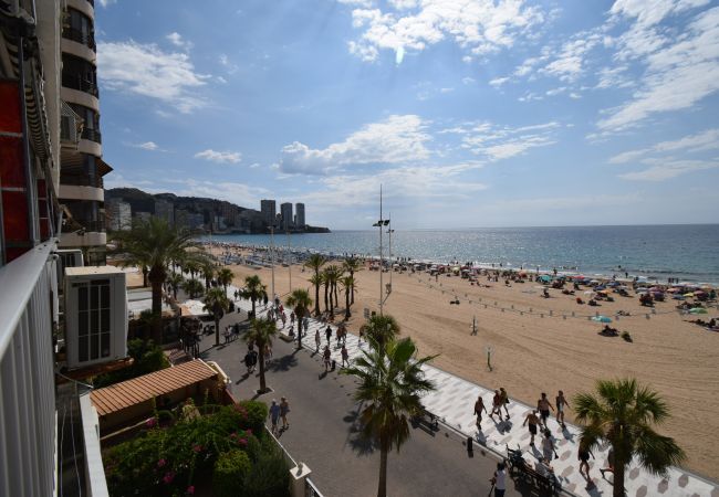 Apartamento em Benidorm - TOR MARAYA (1 QUARTO) Apartamento em Benidorm - TOR MARAYA (1 QUARTO)