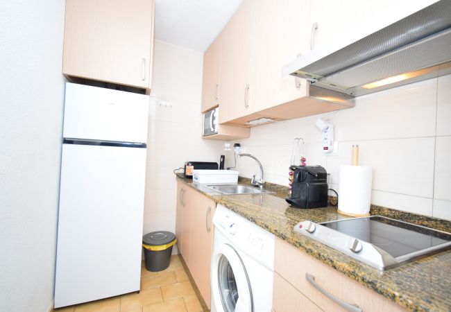 Apartamento em Benidorm - PALMERAS (1 QUARTO) SEM TERRAÇO Apartamento em Benidorm - PALMERAS (1 QUARTO) SEM TERRAÇO