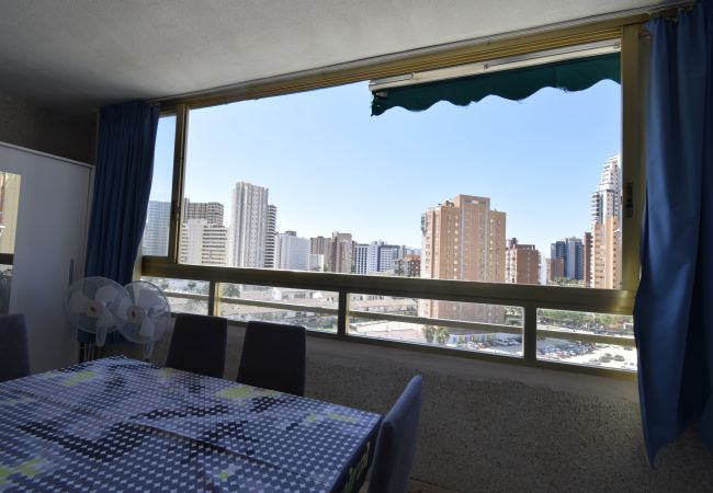 Apartamento em Benidorm - MARISCAL 6 (1 QUARTO) Apartamento em Benidorm - MARISCAL 6 (1 QUARTO)