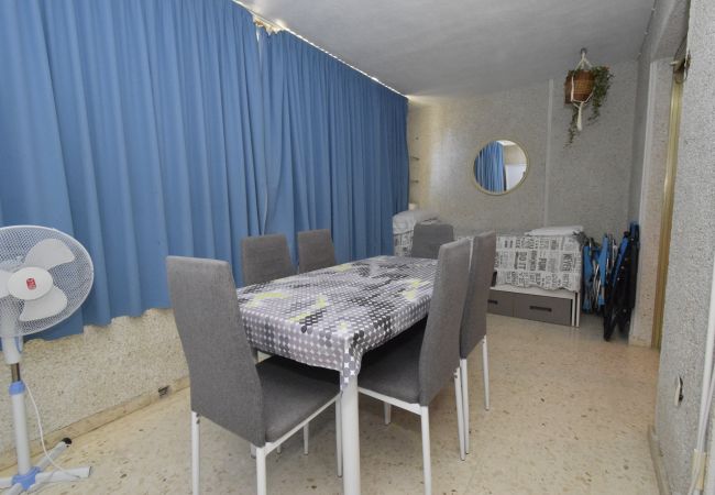Apartamento em Benidorm - MARISCAL 6 (1 QUARTO) Apartamento em Benidorm - MARISCAL 6 (1 QUARTO)