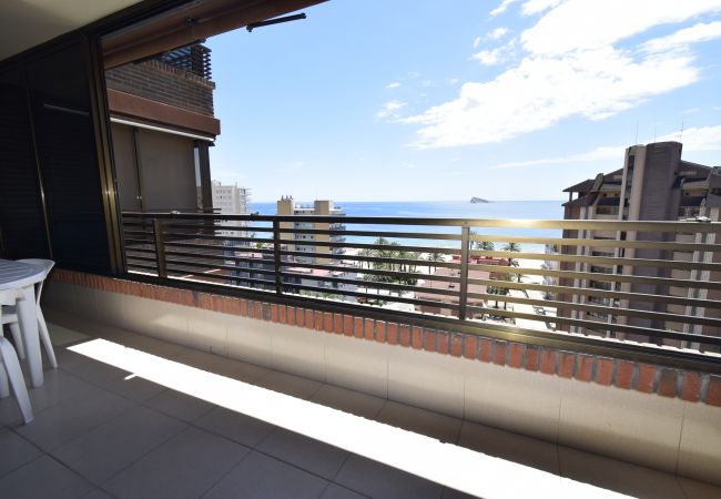 Apartamento em Benidorm - CASTELMAR ( 2 QUARTOS) Apartamento em Benidorm - CASTELMAR ( 2 QUARTOS)