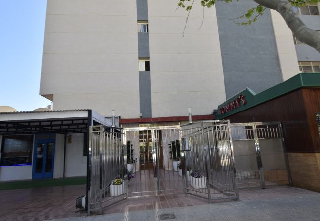 Apartamento em Benidorm - MARISCAL 4 (1 QUARTO) Apartamento em Benidorm - MARISCAL 4 (1 QUARTO)