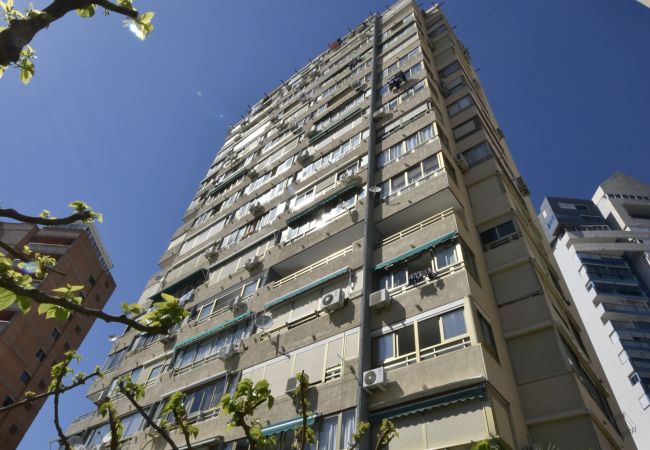 Apartamento em Benidorm - MARISCAL 4 (1 QUARTO) Apartamento em Benidorm - MARISCAL 4 (1 QUARTO)