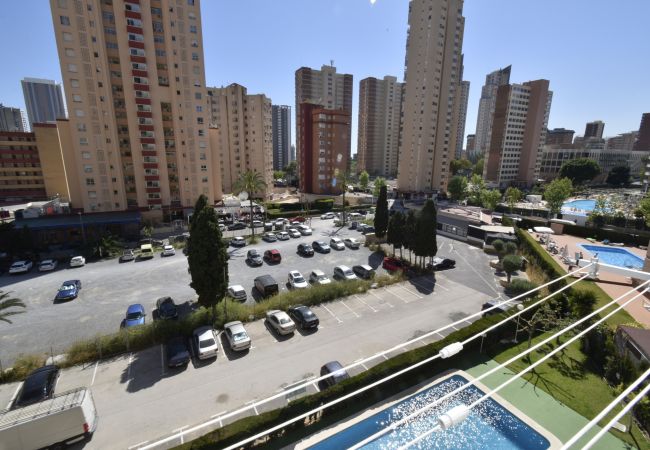 Apartamento em Benidorm - MARISCAL 4 (1 QUARTO) Apartamento em Benidorm - MARISCAL 4 (1 QUARTO)