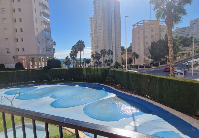 Apartamento em Benidorm - PINTOR ROSALES  (3 QUARTOS) Apartamento em Benidorm - PINTOR ROSALES  (3 QUARTOS)