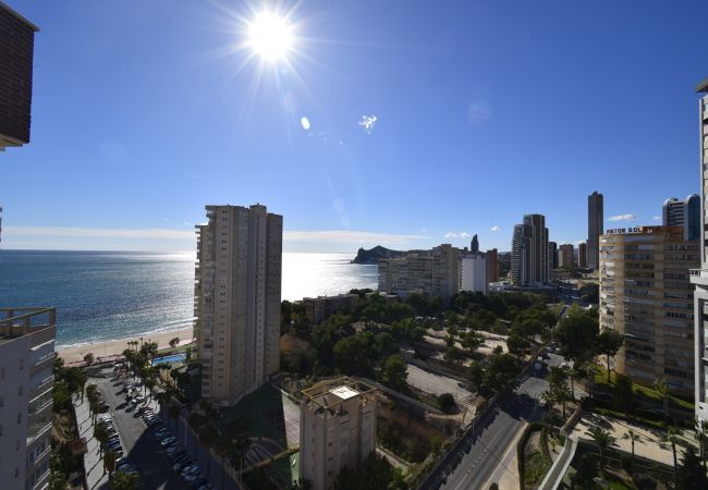 Apartamento em Benidorm - PINTOR ROSALES  (3 QUARTOS) Apartamento em Benidorm - PINTOR ROSALES  (3 QUARTOS)