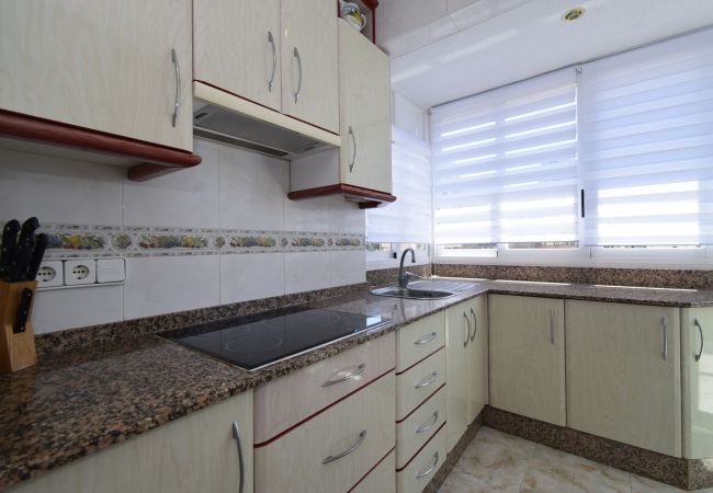 Apartamento em Benidorm - ALBATROS (1 QUARTO) Apartamento em Benidorm - ALBATROS (1 QUARTO)