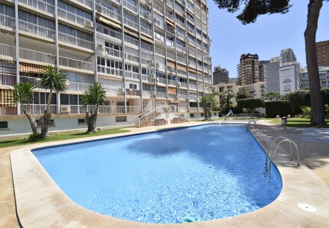 Apartamento em Benidorm - ALBATROS (1 QUARTO) Apartamento em Benidorm - ALBATROS (1 QUARTO)