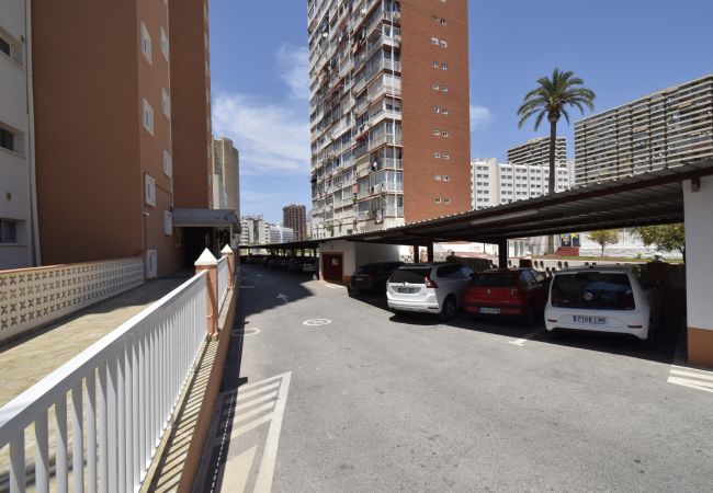 Apartamento em Benidorm - ALBATROS (1 QUARTO) Apartamento em Benidorm - ALBATROS (1 QUARTO)