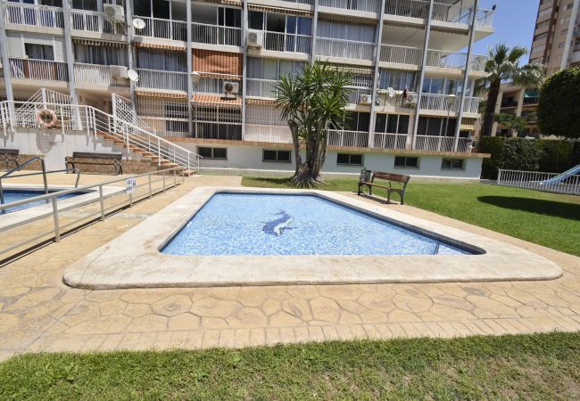 Apartamento em Benidorm - ALBATROS (1 QUARTO) Apartamento em Benidorm - ALBATROS (1 QUARTO)