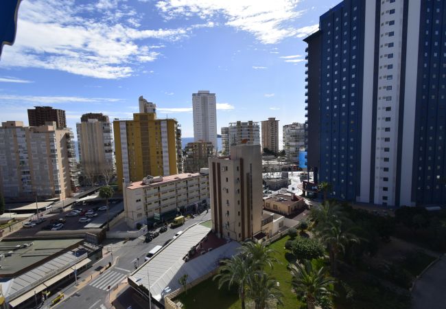 Apartamento em Benidorm - DONA (2 QUARTOS) Apartamento em Benidorm - DONA (2 QUARTOS)