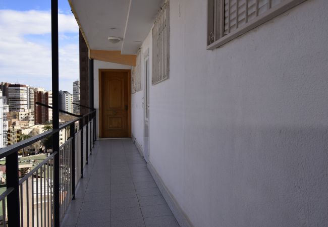 Apartamento em Benidorm - DONA (2 QUARTOS) Apartamento em Benidorm - DONA (2 QUARTOS)