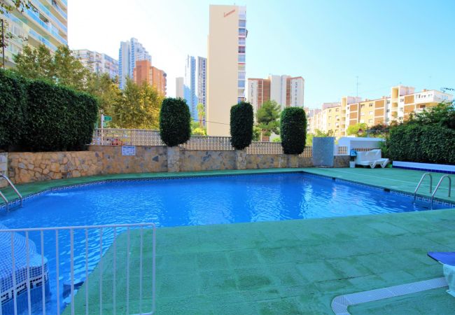 Apartamento em Benidorm - CADIZ (1 QUARTO) Apartamento em Benidorm - CADIZ (1 QUARTO)