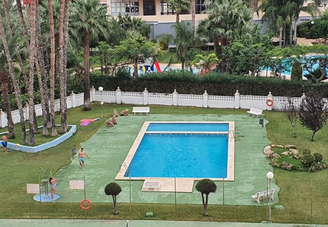 Apartamento em Benidorm - MARISCAL 3  2I (1  QUARTO) Apartamento em Benidorm - MARISCAL 3  2I (1  QUARTO)