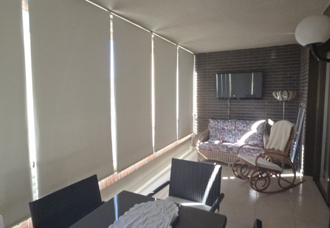 Apartamento em Benidorm - CASTELMAR 1C  (1 QUARTO) Apartamento em Benidorm - CASTELMAR 1C  (1 QUARTO)