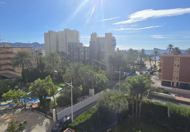 Apartamento em Benidorm - CASTELMAR 1C  (1 QUARTO) Apartamento em Benidorm - CASTELMAR 1C  (1 QUARTO)