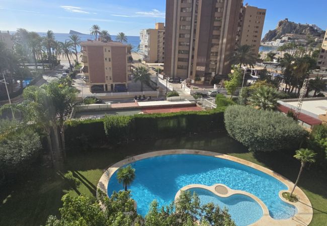 Apartamento em Benidorm - CASTELMAR 1C  (1 QUARTO) Apartamento em Benidorm - CASTELMAR 1C  (1 QUARTO)