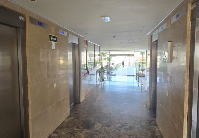 Apartamento em Benidorm - TRINISOL 2 (1 QUARTO) Apartamento em Benidorm - TRINISOL 2 (1 QUARTO)