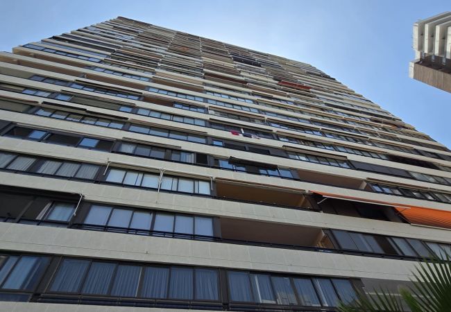 Apartamento em Benidorm - TRINISOL 2 (1 QUARTO) Apartamento em Benidorm - TRINISOL 2 (1 QUARTO)