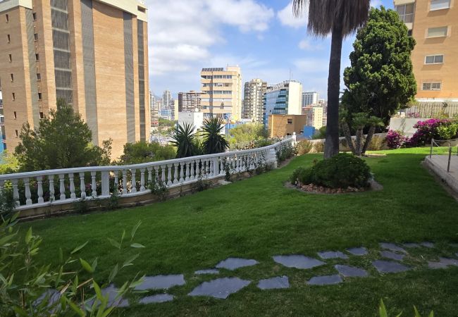 Apartamento em Benidorm - TRINISOL 2 (1 QUARTO) Apartamento em Benidorm - TRINISOL 2 (1 QUARTO)