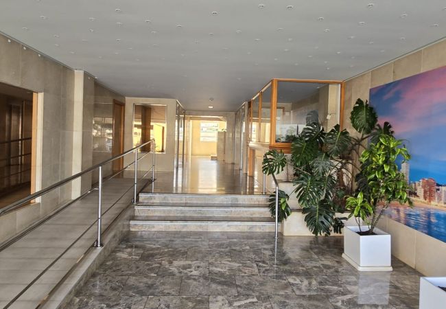 Apartamento em Benidorm - TRINISOL 2 (1 QUARTO) Apartamento em Benidorm - TRINISOL 2 (1 QUARTO)