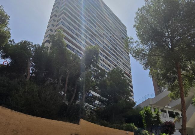 Apartamento em Benidorm - TRINISOL 2 (1 QUARTO) Apartamento em Benidorm - TRINISOL 2 (1 QUARTO)