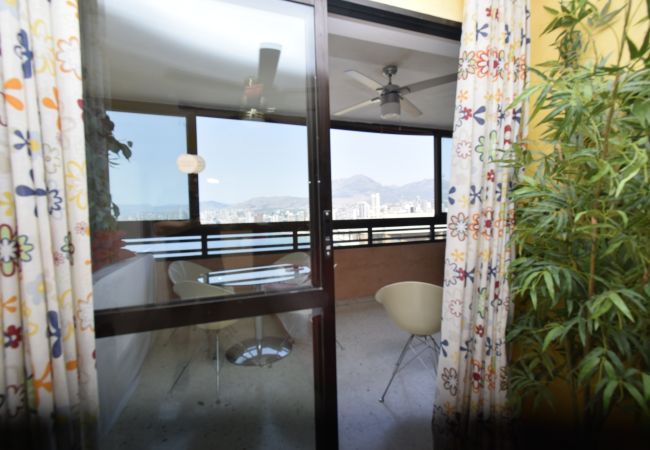 Apartamento em Benidorm - TRINISOL 2 (1 QUARTO) Apartamento em Benidorm - TRINISOL 2 (1 QUARTO)