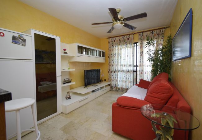 Apartamento em Benidorm - TRINISOL 2 (1 QUARTO) Apartamento em Benidorm - TRINISOL 2 (1 QUARTO)