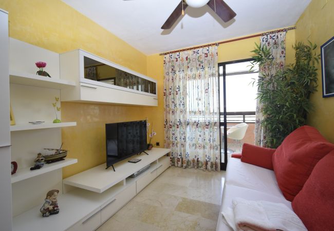 Apartamento em Benidorm - TRINISOL 2 (1 QUARTO) Apartamento em Benidorm - TRINISOL 2 (1 QUARTO)