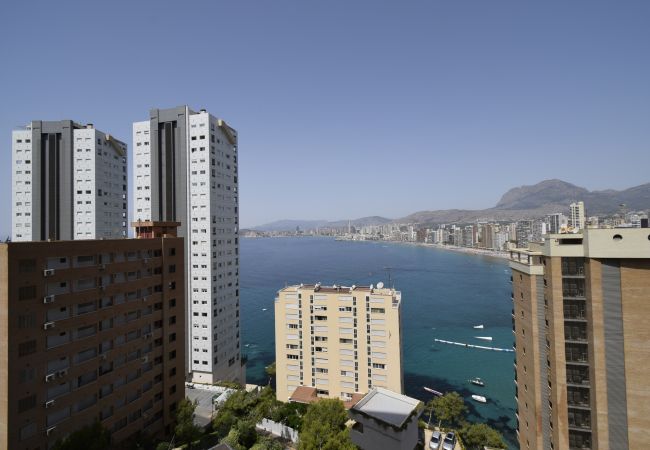 Apartamento em Benidorm - TRINISOL 2 (1 QUARTO) Apartamento em Benidorm - TRINISOL 2 (1 QUARTO)