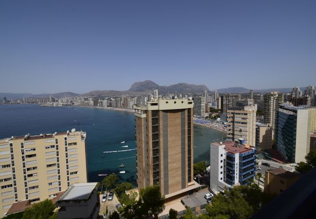 Apartamento em Benidorm - TRINISOL 2 (1 QUARTO) Apartamento em Benidorm - TRINISOL 2 (1 QUARTO)