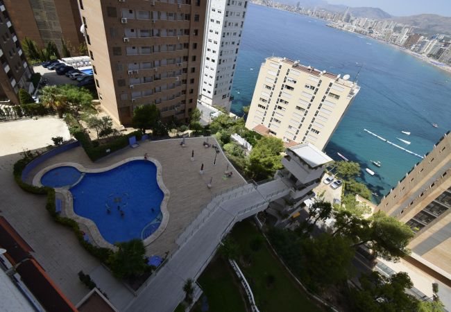 Apartamento em Benidorm - TRINISOL 2 (1 QUARTO) Apartamento em Benidorm - TRINISOL 2 (1 QUARTO)