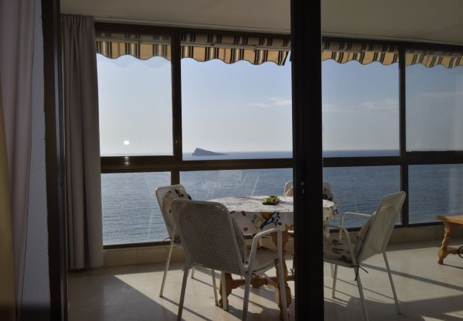 Apartamento em Benidorm - LOS GEMELOS (1 QUARTO) Apartamento em Benidorm - LOS GEMELOS (1 QUARTO)