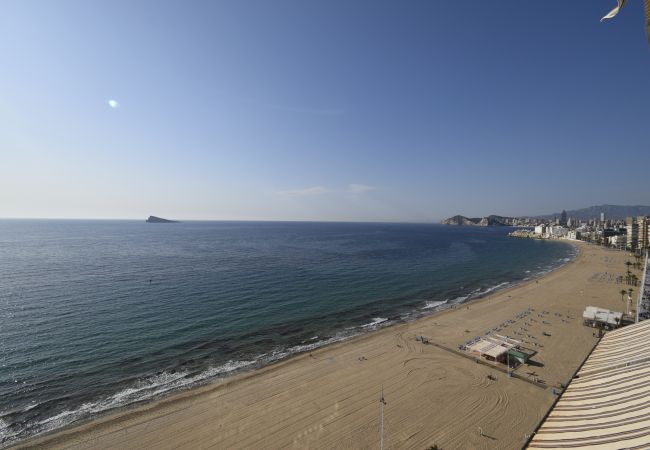 Apartamento em Benidorm - LOS GEMELOS (1 QUARTO) Apartamento em Benidorm - LOS GEMELOS (1 QUARTO)